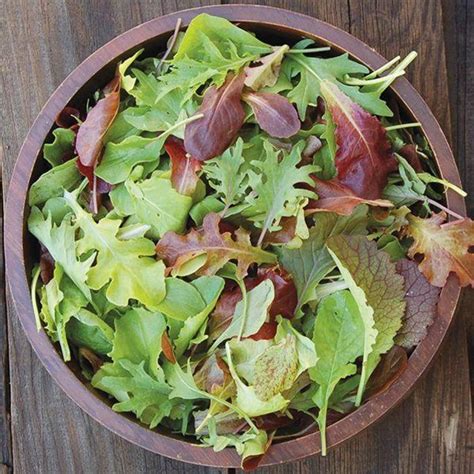 'Mesclun Mix' Lettuce & Mustard Greens