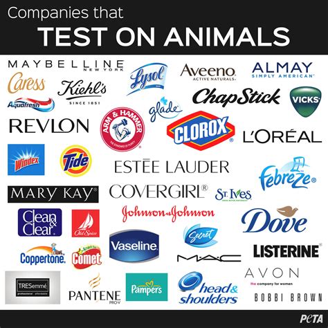 Shampoo And Animal Testing at Kimberly Lyke blog