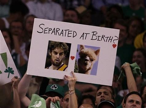 20 Of The Funniest Sports Signs You'll See All Day