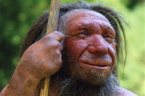 Neanderthals' thumbs were well-suited to 'squeeze,' study says - UPI.com