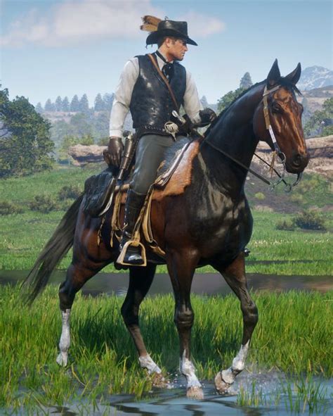 Screencaps & Vids | Red dead redemption horses, Red dead redemption, Red dead online