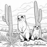 Gopher Coloring Pages  Free & Printable sketch template