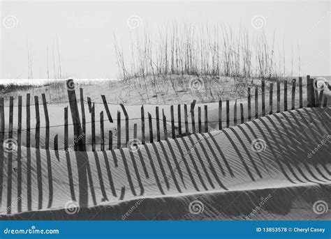 Beach sand dune stock photo. Image of seagrass, broken - 13853578