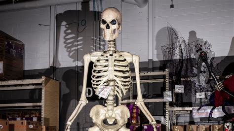 The Shelf Life of a 12-Foot Home Depot Skeleton - The New York Times