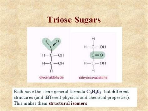 Biological Molecules | Mapa Mental