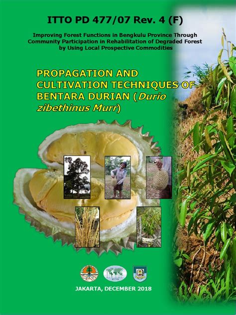 Propagation and Cultivation Techniques of Bentara Durian (Durio Zibethinus Murr) | PDF ...