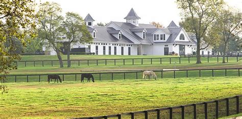 Horse Farm Tours in the Horse Capital of the World: Lexington, Kentucky ...