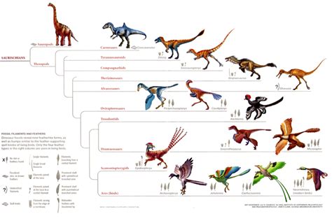 Birds and Reptile Relation – Clyde Peeling's Reptiland