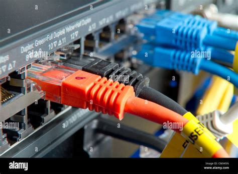 network cables connected to hub Stock Photo - Alamy