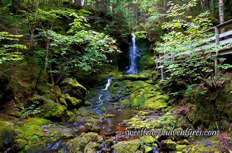 Discovering Unique Nature Parks in New Brunswick! - Sweet Travel Adventures