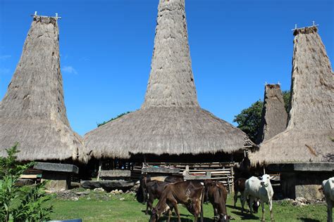 Sumba: The Unspoiled Pearl in the South of Indonesia - ResponsiBo Travel