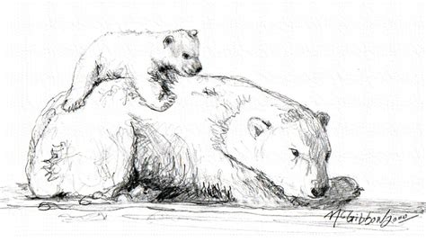 Bear and Cub Drawing by Dan McGibbon | Fine Art America