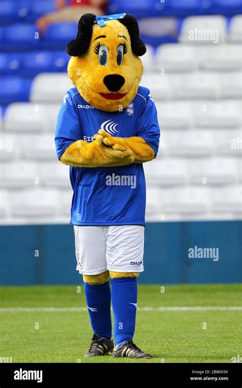 Birmingham City mascot Belle Brummie Stock Photo - Alamy