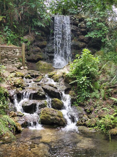 Rainbow Springs State Park - Go Wandering