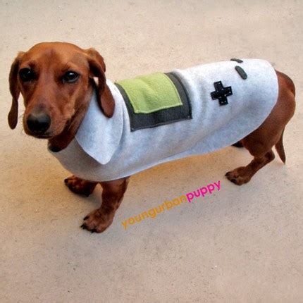 dog nintendo costumes Archives - Fuzzy Today