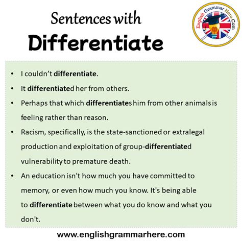 Sentences with Differentiate, Differentiate in a Sentence in English ...