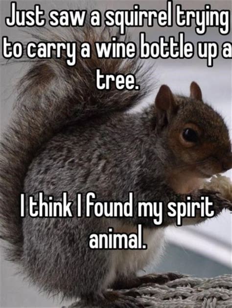 We Have Found Your Spirit Animal (22 Memes) | CutesyPooh | Funny ...