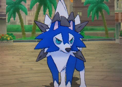 Lycanroc Midnight Form Shiny, Please Stop Only Liking My Posts Srs Shiny Lycanroc Midnight Form ...