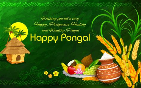 Pongal 2024 Wallpapers - Wallpaper Cave