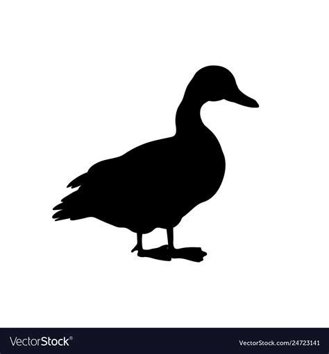 Black silhouette of duck isolated image Royalty Free Vector