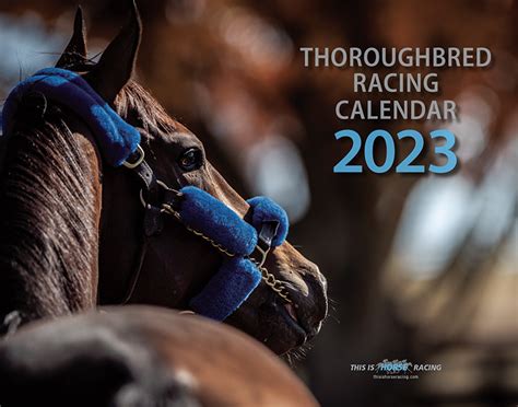 Nz Horse Racing Calendar 2024 - Kim Sheeree