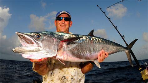 Species Spotlight: king mackerel - Mississippi Sportsman