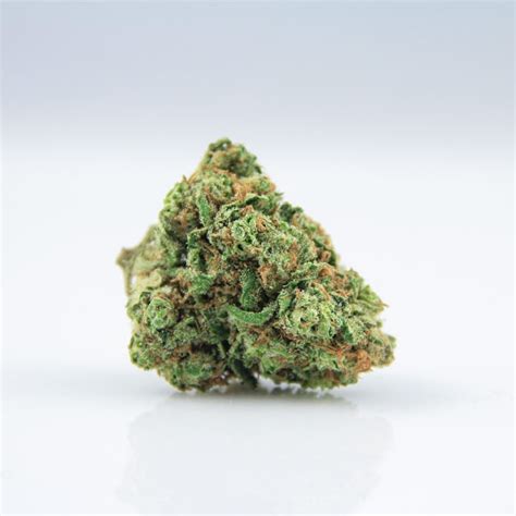 blue-dream - Colorado Harvest Company