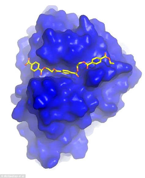 Scientists develop an enzyme that destroys the most common plastic | Daily Mail Online