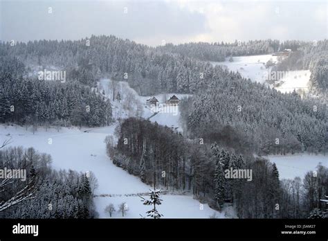 winter firs winter landscape black forest snow mountain scenery ...