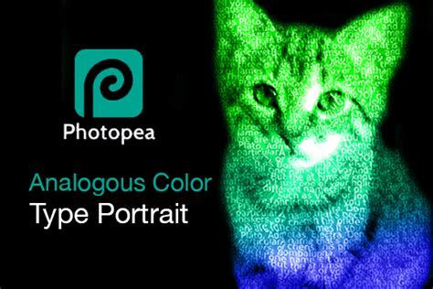 Photopea Type Portrait Project – S Salkowski Design