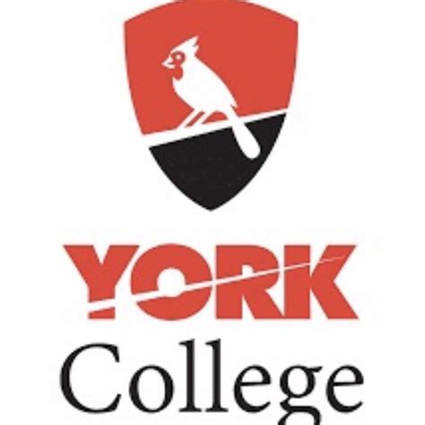 York College / CUNY | New York NY