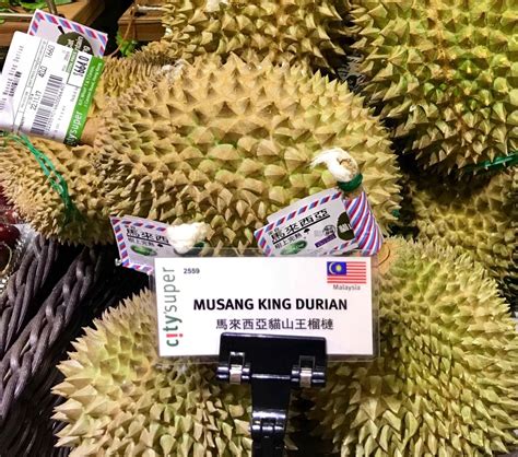 Organic Musang King Durian Investment