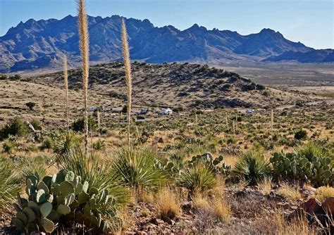 Camping Review of Rock Hound State Park in New Mexico