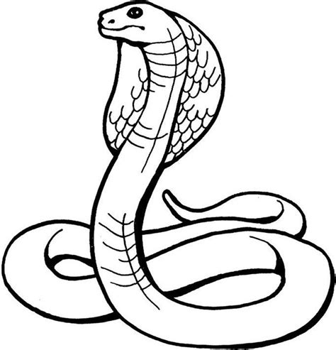 Drawing Of A Snake - ClipArt Best