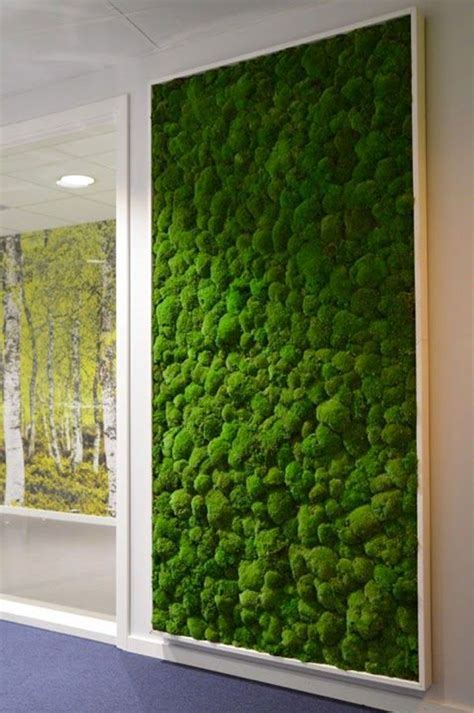 BM™ Piante Stabilizzate - I nostri Prodotti | Garden wall, Vertical garden, Moss wall