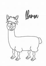 Llama Coloring Pages ⋆ coloringrocks  Animal coloring sketch template
