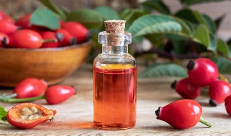 How To Choose The Best Rosehip Oil For Skin And Hair Care