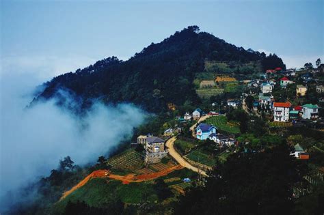 Tam Dao National Park – Vinh Phuc Province, Vietnam