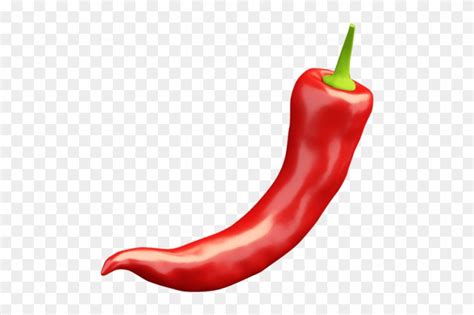 Hot Pepper Png - Download Gambar Cabe Rawit, Transparent Png - 595x595(#107911) - PngFind