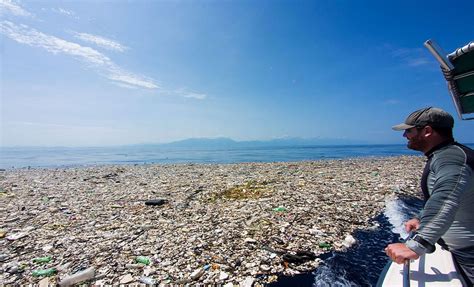 Gewaltige Müllinseln treiben im Karibischen Meer - Natur - derStandard ...