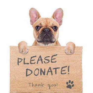 Donate Items : Donate : Animal Shelter of Northeast Nebraska