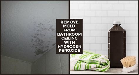 How to remove mold from bathroom ceiling with hydrogen peroxide | Mold in bathroom, Mold remover ...