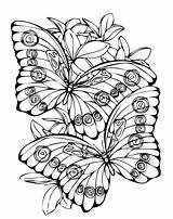 Schmetterling Ausmalbilder Printable Cool2bkids Mariposa Outline  sketch template