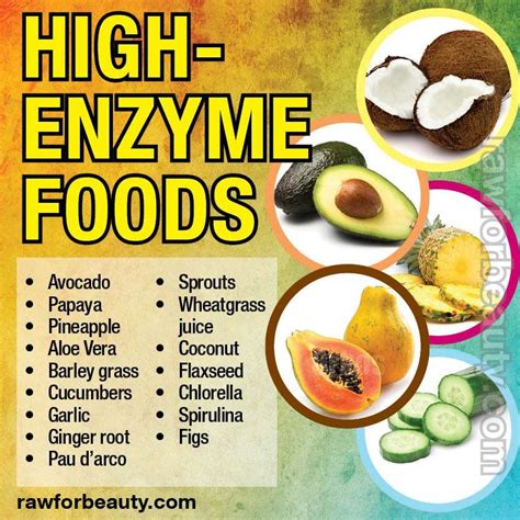 Enzymes: Why do we need them to stay healthy? - AAI Clinics