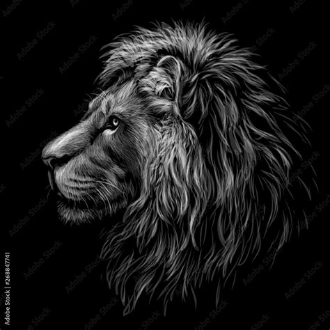 Black And White Graphic Portrait Of A Lion S Head Profile On A Black ...