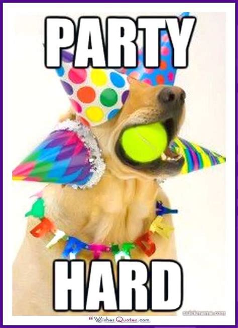 Happy Birthday Memes with Funny Cats, Dogs and Cute Animals