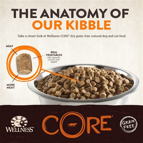 Wellness CORE Natural Grain Free Dry Dog Food at dogmal.com