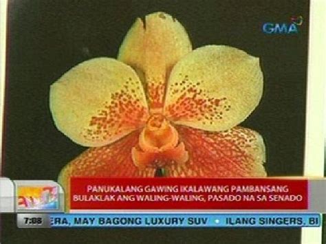 Pambansang Bulaklak Ng Pilipinas