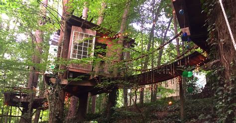 This Airbnb treehouse is the most-wished-for listing