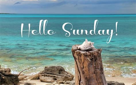 Happy Sunday coastal lovers ~ | Hello sunday, Sunday morning quotes ...